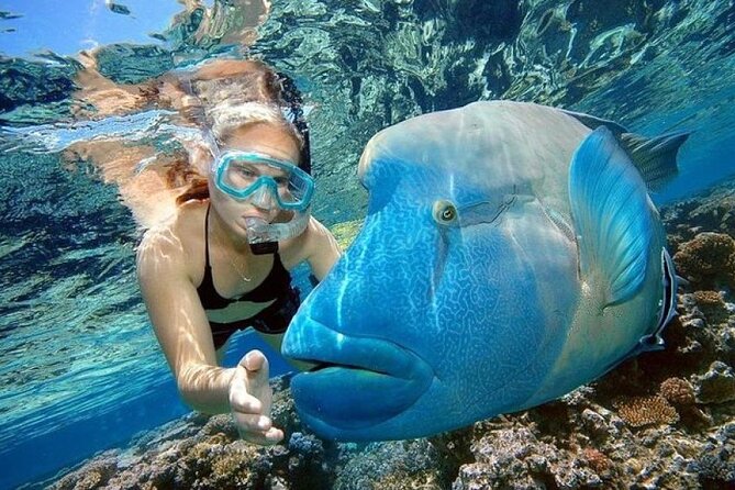 Orange Bay Island 2 Snorkeling Stops Water Sports Romantic Escape - What the $10 price really tells you