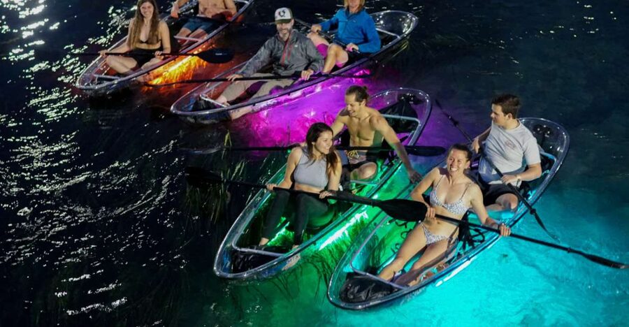 Orlando: Date Night LED Night Glow Tour with Sparkling Wine - The back lake: multimillion-dollar homes and a slower pace