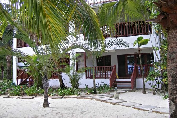 Private Airport Transfer to Couples Swept Away Negril - What the private vehicle changes