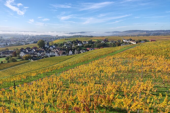 Private day trip to the Romantic Rhine Valley with river cruise and wine tasting - Kloster Eberbach and the roots of Rheingau wine