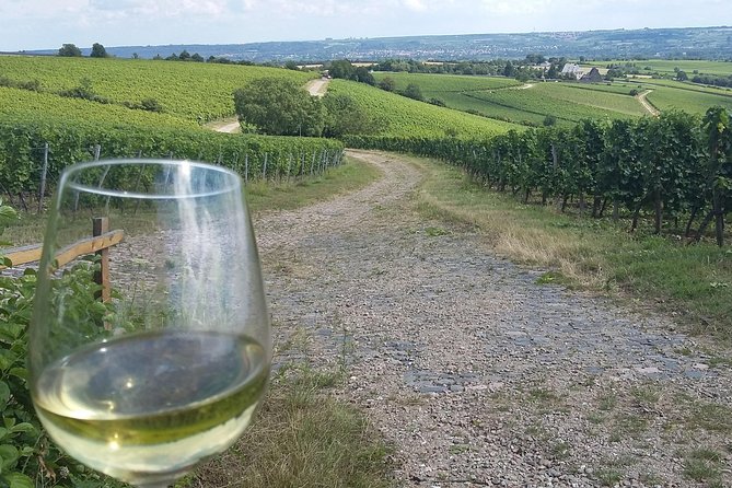 Private day trip to the Romantic Rhine Valley with river cruise and wine tasting - Rüdesheim, Throstle Alley, and lunch time