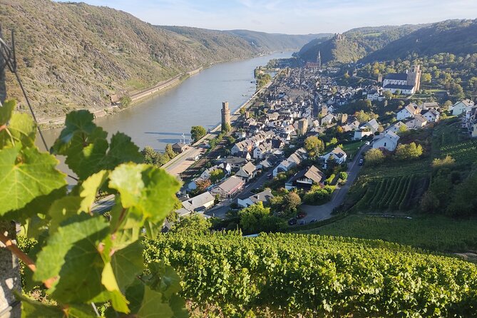Private day trip to the Romantic Rhine Valley with river cruise and wine tasting - Two hours on the Rhine and the Loreley rock