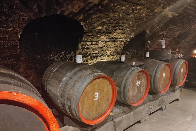 Private day trip to the Romantic Rhine Valley with river cruise and wine tasting - Burg Rheinfels, a serious fortress above the river