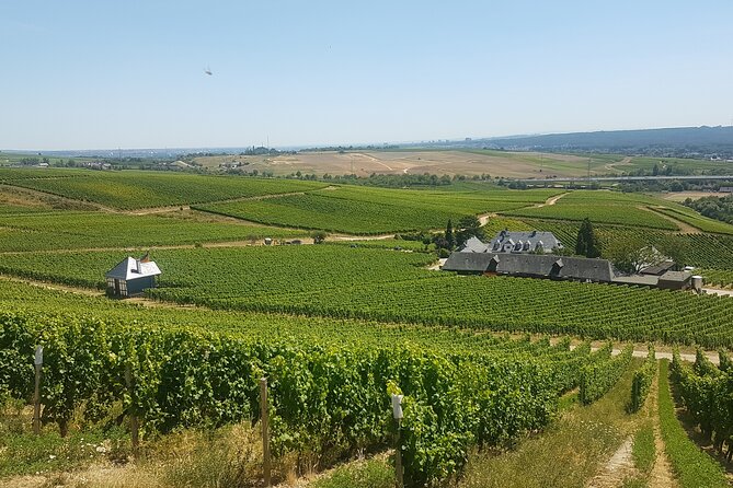 Private day trip to the Romantic Rhine Valley with river cruise and wine tasting - Oberwesel, wine cellar, and a second taste of local life