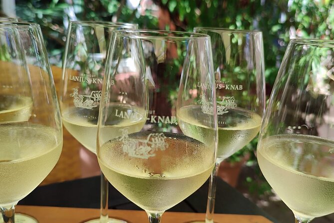 Private day trip to the Romantic Rhine Valley with river cruise and wine tasting - Schloss Johannisberg and the Riesling story