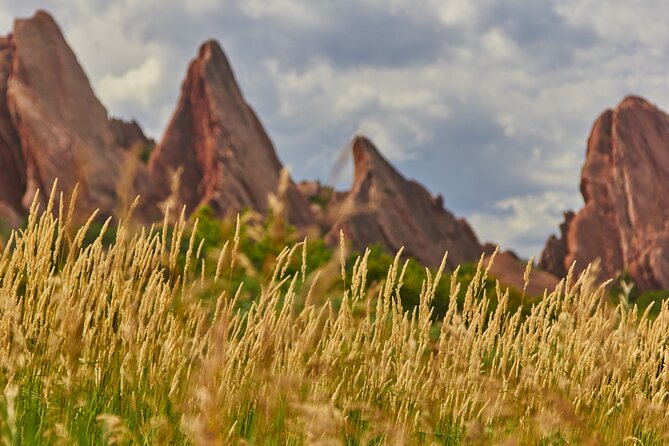 Private Nature Tour for Couples - Searching for eagles, elk, and smaller birds