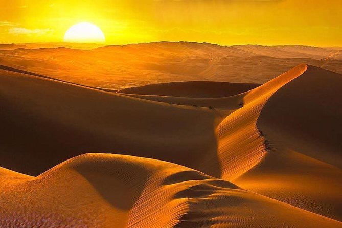 Private Romantic Dinner in Desert Abu Dhabi with Hot BBQ Dinner - A traditional camp with coffee, dates, and a camel ride