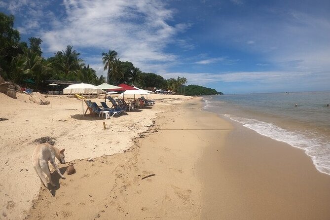 Rey Spearo - Enchanting And Romantic Custom Created Tours - Edenva Parque Ecoturistico and natural water