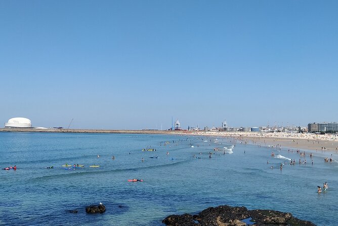Ride through romantic Foz in an eco-friendly car - Massarelos and the sweeping Arrábida Bridge