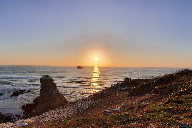 Romantic Auckland Sunset tour with Winery & Thermal pool - An Auckland evening built around changing scenery