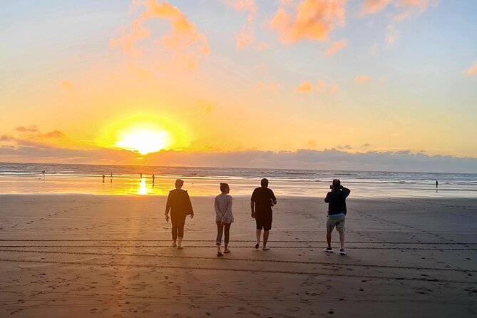 Romantic Auckland Sunset tour with Winery & Thermal pool - What the $279.26 price really covers