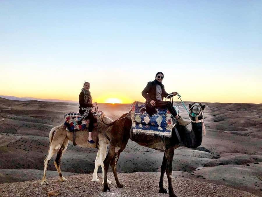 Romantic Dinner & Camel Ride In Agafay Desert - Who will enjoy this evening most