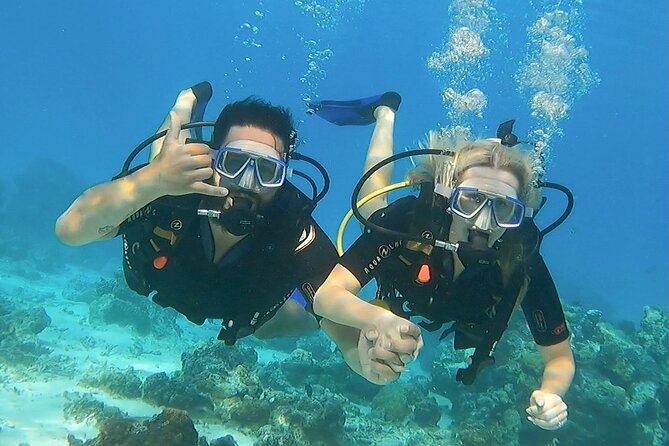Romantic Dive for beginners in Bora Bora (2 people) with Video - Meeting the team at Eleuthera Bora Diving Center