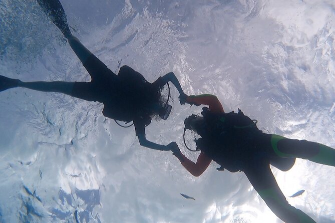 Romantic Dive for beginners in Bora Bora (2 people) with Video - Is the $491.54 price good value?