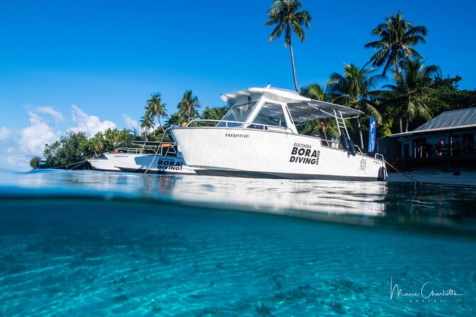 Romantic Dive for beginners in Bora Bora (2 people) with Video - Who will enjoy this most?