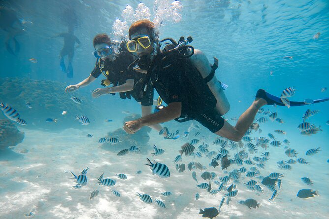 Romantic dive in the lagoon of Bora Bora. Private instructor on a shared boat - The Bora Bora lagoon underwater