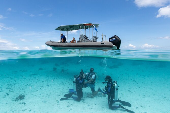 Romantic dive in the lagoon of Bora Bora. Private instructor on a shared boat - A shared boat, then private attention