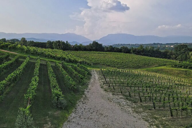 Romantic Evening Tasting with the Best Prosecco - Cold cuts and cheeses from the company