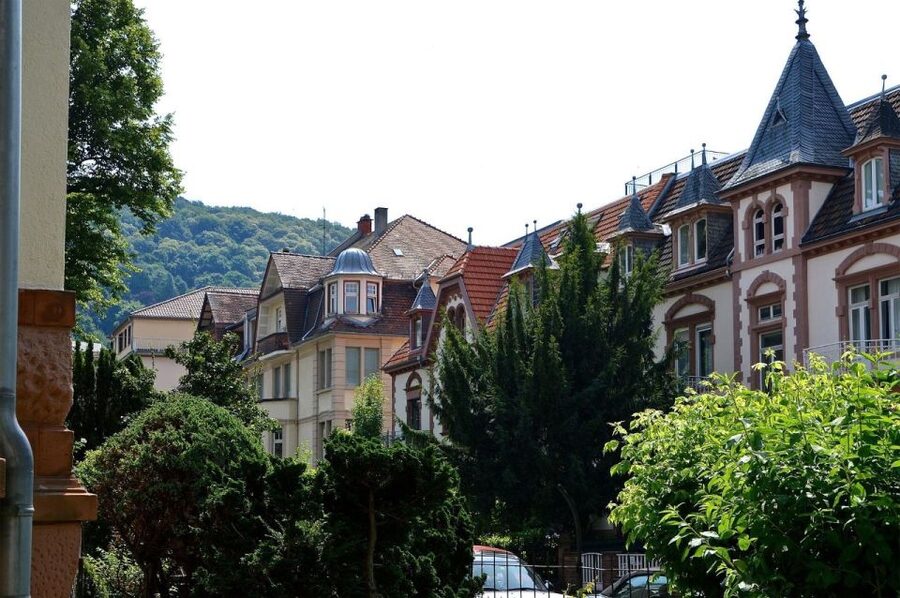 Romantic Heidelberg: Private Tour With Professional Guide - Why Heidelberg works so well on foot