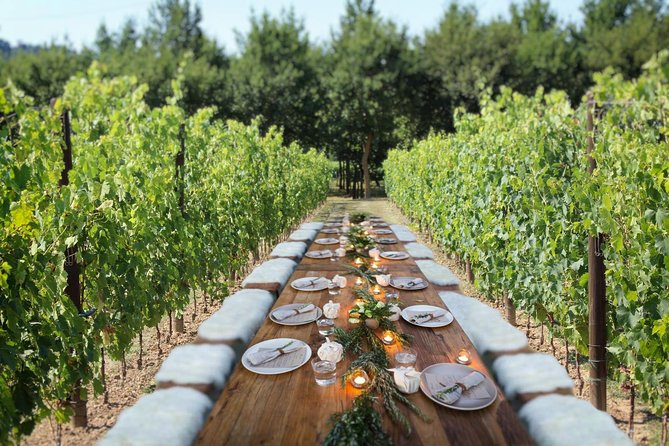 Romantic Lunch in the Vine Rows in Tuscany - Understanding the wine tasting