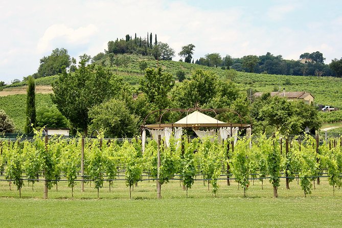 Romantic Lunch in the Vine Rows in Tuscany - The romantic factor