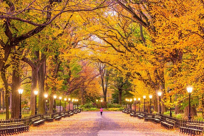 Romantic Proposal Carriage Tour in Central Park - Key points to know before you book