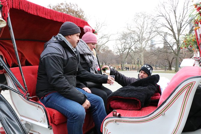 Romantic Proposal Carriage Tour in Central Park - Who gets the best value from $415