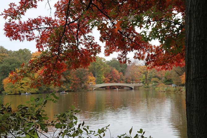 Romantic Proposal Carriage Tour in Central Park - Weather, mobility, and practical details