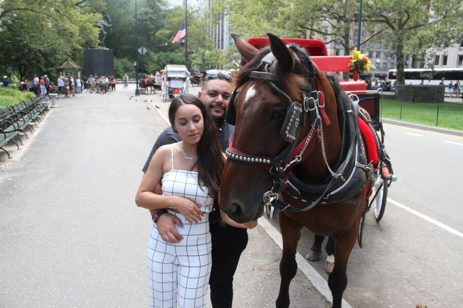 Romantic/Proposal Central Park Carriage Tour Up to 4 Adults - A Private Proposal Ride Through Central Park