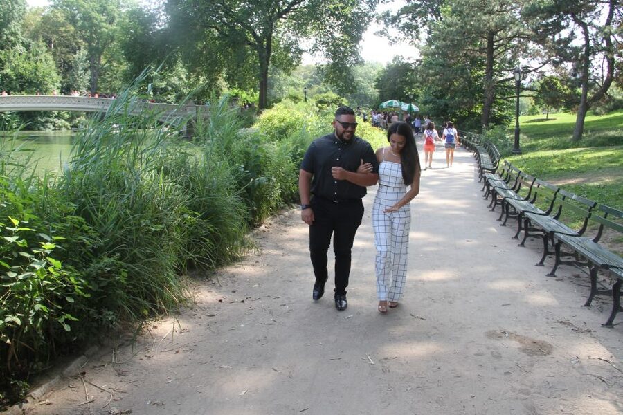 Romantic/Proposal Central Park Carriage Tour Up to 4 Adults - Booking Advice for a Smooth Proposal