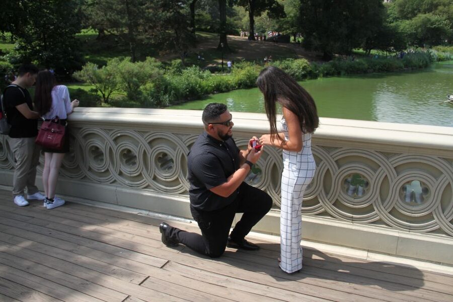 Romantic/Proposal Central Park Carriage Tour Up to 4 Adults - Bethesda Fountain and Terrace