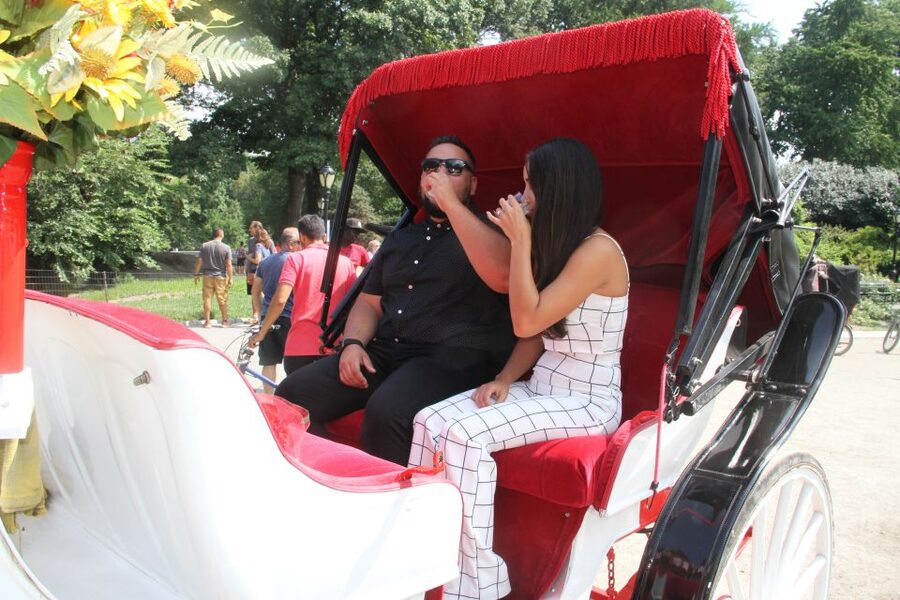 Romantic/Proposal Central Park Carriage Tour Up to 4 Adults - Champagne, Roses, and the Photography Add-On