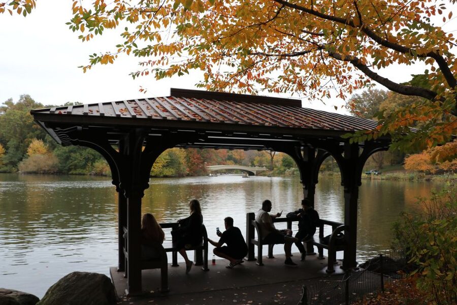 Romantic/Proposal Central Park Carriage Tour Up to 4 Adults - Is $425 Good Value for Four People?