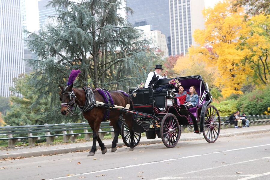Romantic/Proposal Central Park Carriage Tour Up to 4 Adults - Who Will Enjoy This Most