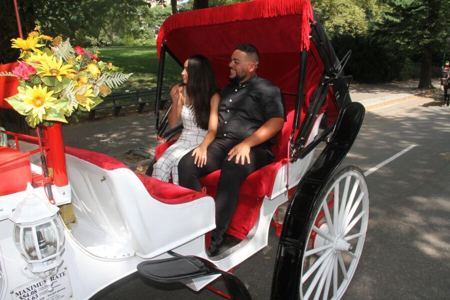 Romantic/Proposal Central Park Carriage Tour Up to 4 Adults - Bow Bridge: The Classic Proposal Stop