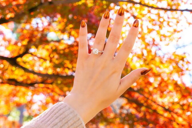 Romantic Proposal Production Photo Video and Drone - Is $1,500 Good Value for Two Hours?