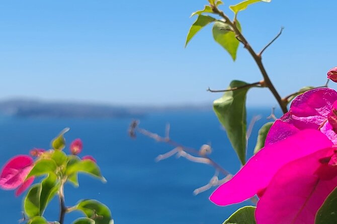 Romantic Tour through Santorini - Megalochori shows Santorini beyond the postcards