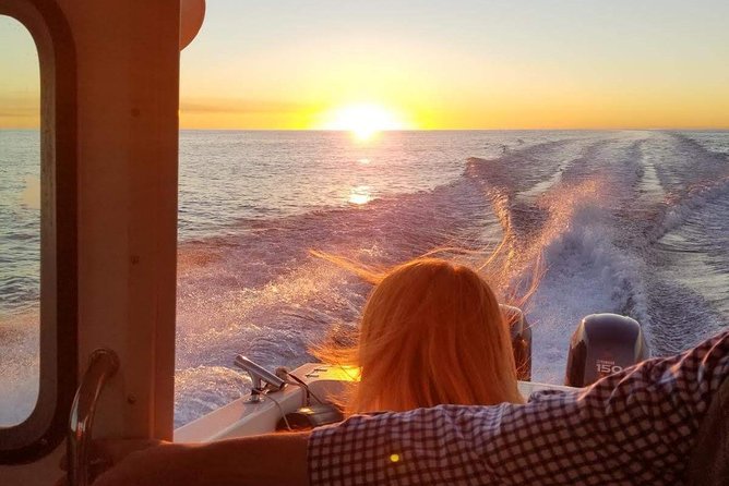 Romantic Wine and Cheese Boat Tower Cruise - Key details of the Mission Bay sunset cruise