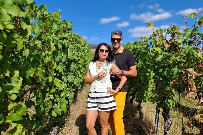 Romantic Wine Escape by Perlage Rheingau - Key points to know before booking