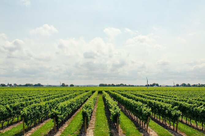 Romantic Wine Escape by Perlage Rheingau - Timing, pickup, and practical details
