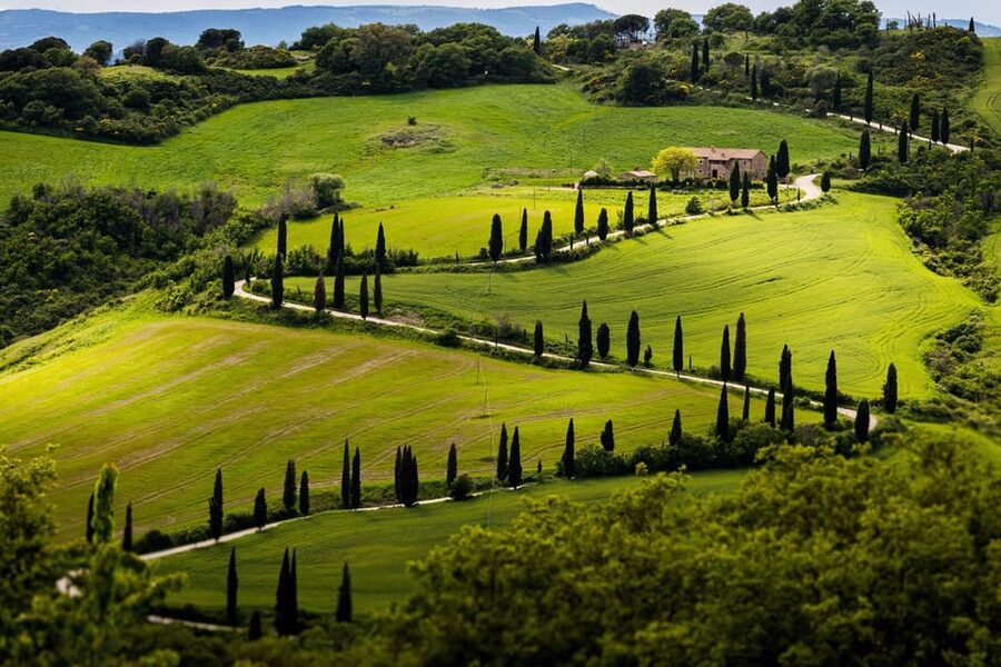 ROMANTIC WINE TOUR FOR 2 - Wine Tour in Chianti (Tuscany) - Timing and the small booking detail you should not miss
