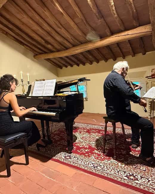 RomanticOpera concert in the artist's house on the hills and wine tasting - Wine, music, and a home above Lucca