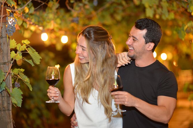 San Gimignano Romantic Dinner in the Vineyards - Dinner among the vines near San Gimignano