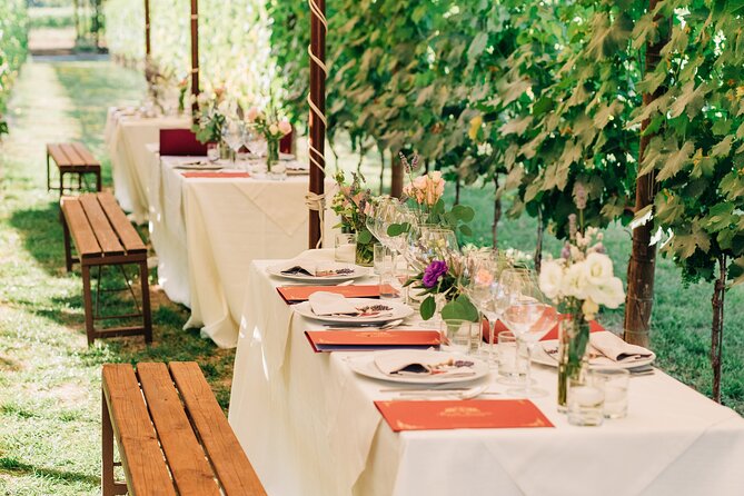 San Gimignano Romantic Dinner in the Vineyards - Practical details that affect your choice