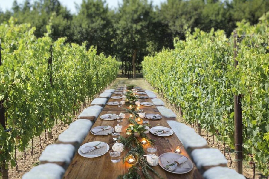 San Gimignano: Romantic Vineyard Dinner - A vineyard dinner outside San Gimignano
