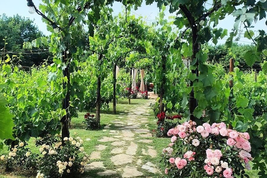 San Gimignano: Romantic Vineyard Dinner - The value of the $141.61 price