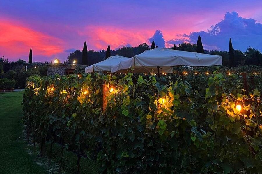 San Gimignano: Romantic Vineyard Dinner - Who will enjoy this most