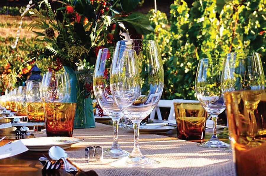 San Gimignano: Romantic Vineyard Dinner - Arriving at Tenuta Torciano