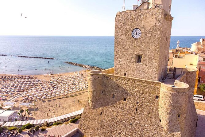 Scooter Tour in Termoli and Campomarino (As couple) - The oil mill or wine cellar tasting