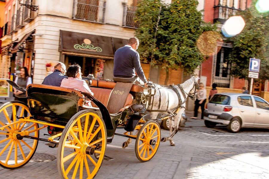 Seville: Authentic and Romantic Horse-Drawn Carriage Ride - Key points before you book
